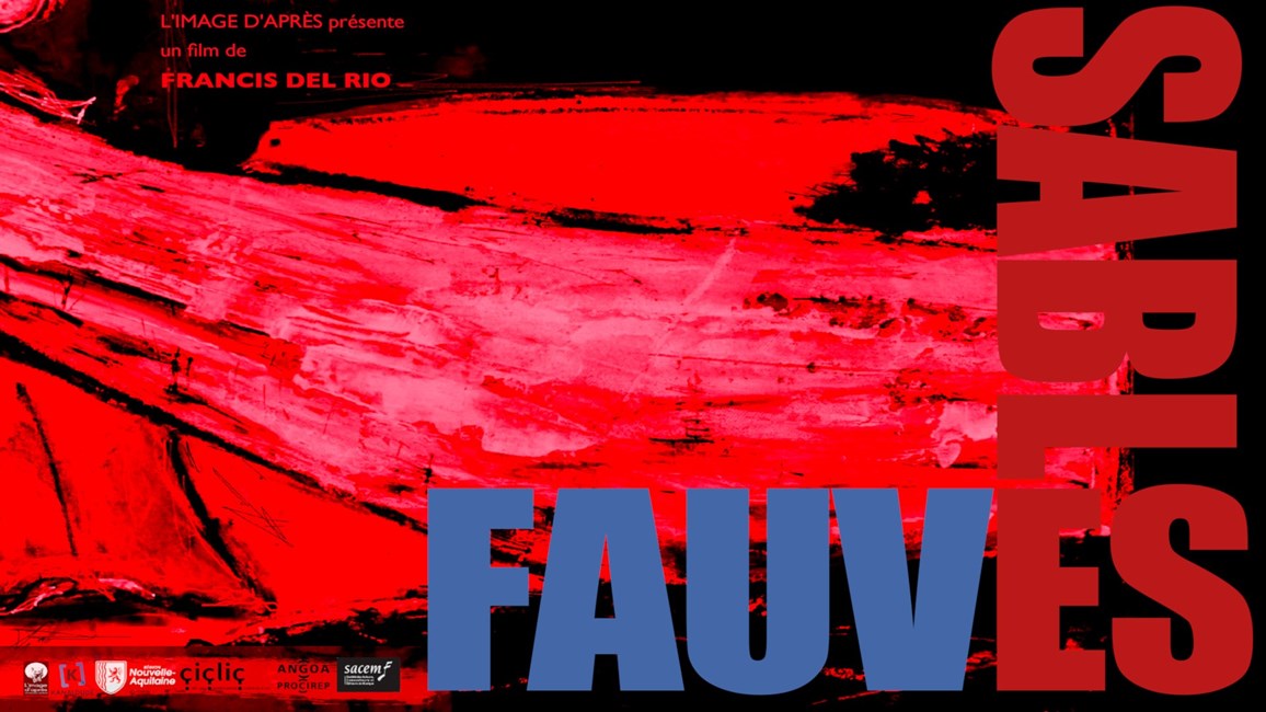Affiche de l'événement Ciné-Rencontre autour du film Sables Fauves