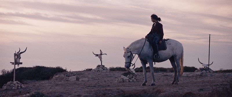 Affiche du film Revanche féministe. Le taureau par les cornes