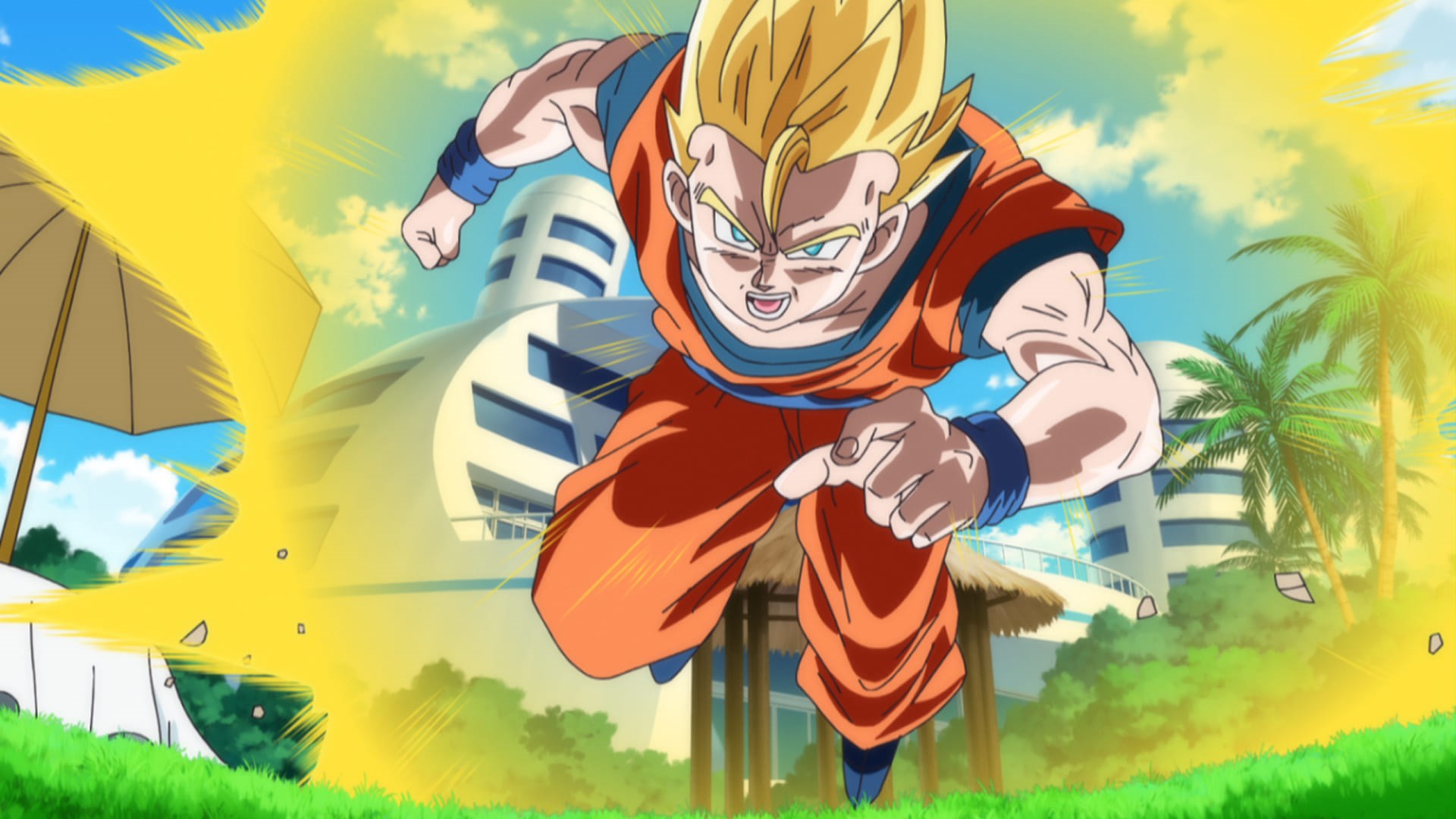 Affiche du film Dragon Ball Z : Battle of Gods (Extended Cut) 