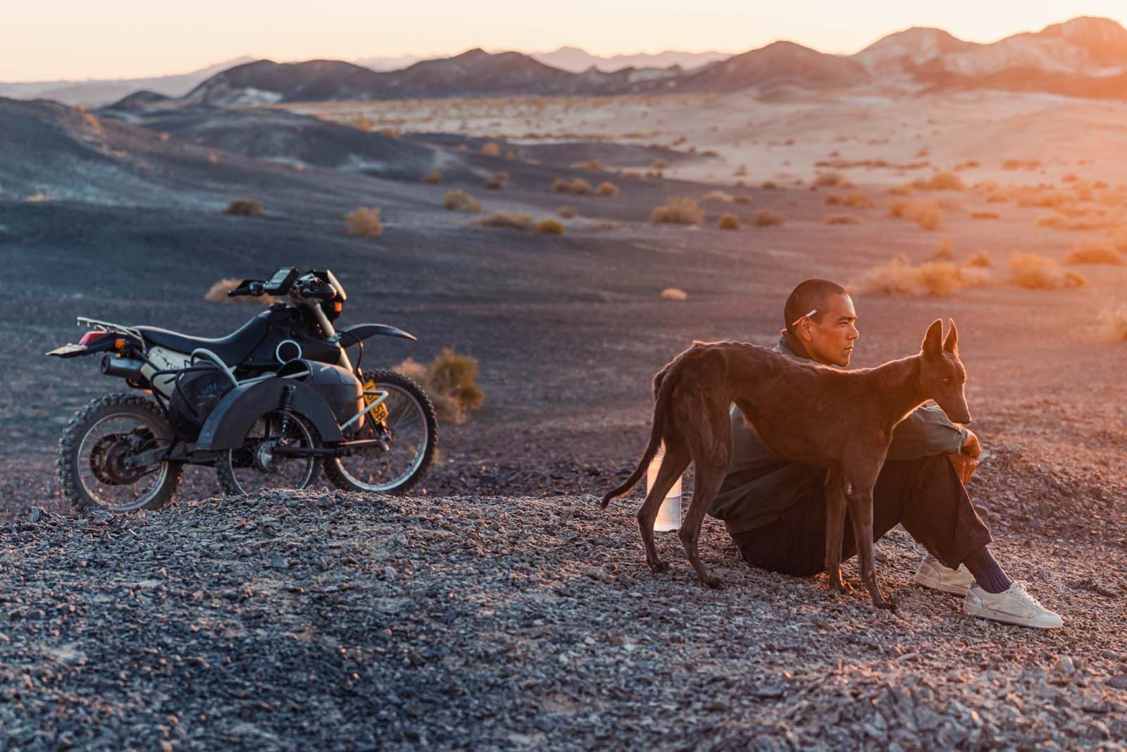 Affiche du film Black Dog