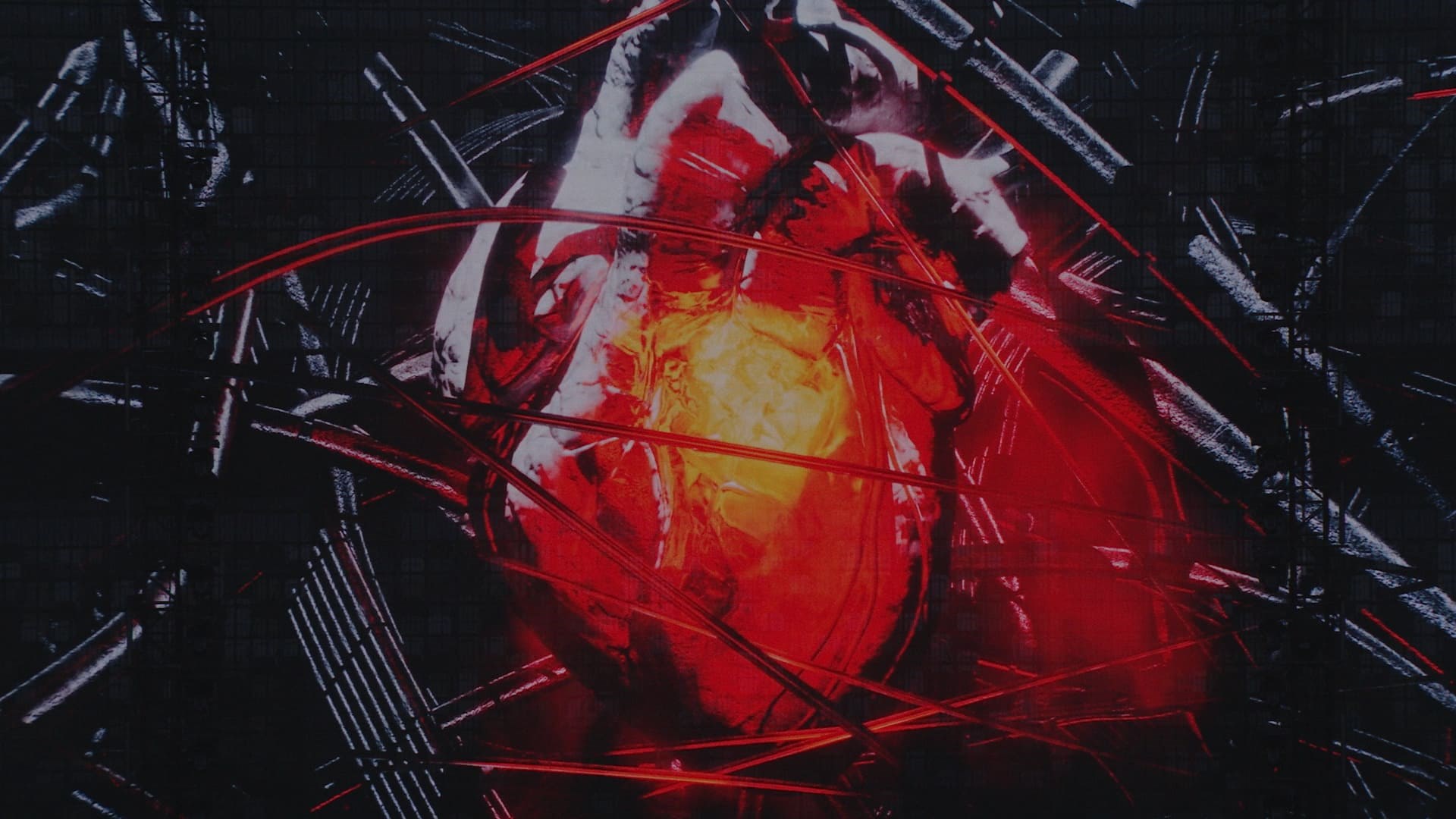 Affiche du film Ado Special Live : Shinzou