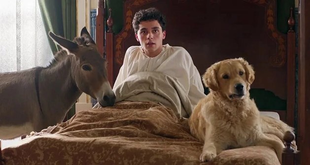 Affiche du film L'arbre de la connaissance