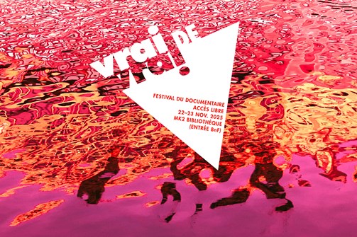 Affiche du film Festival Vrai de Vrai 2025