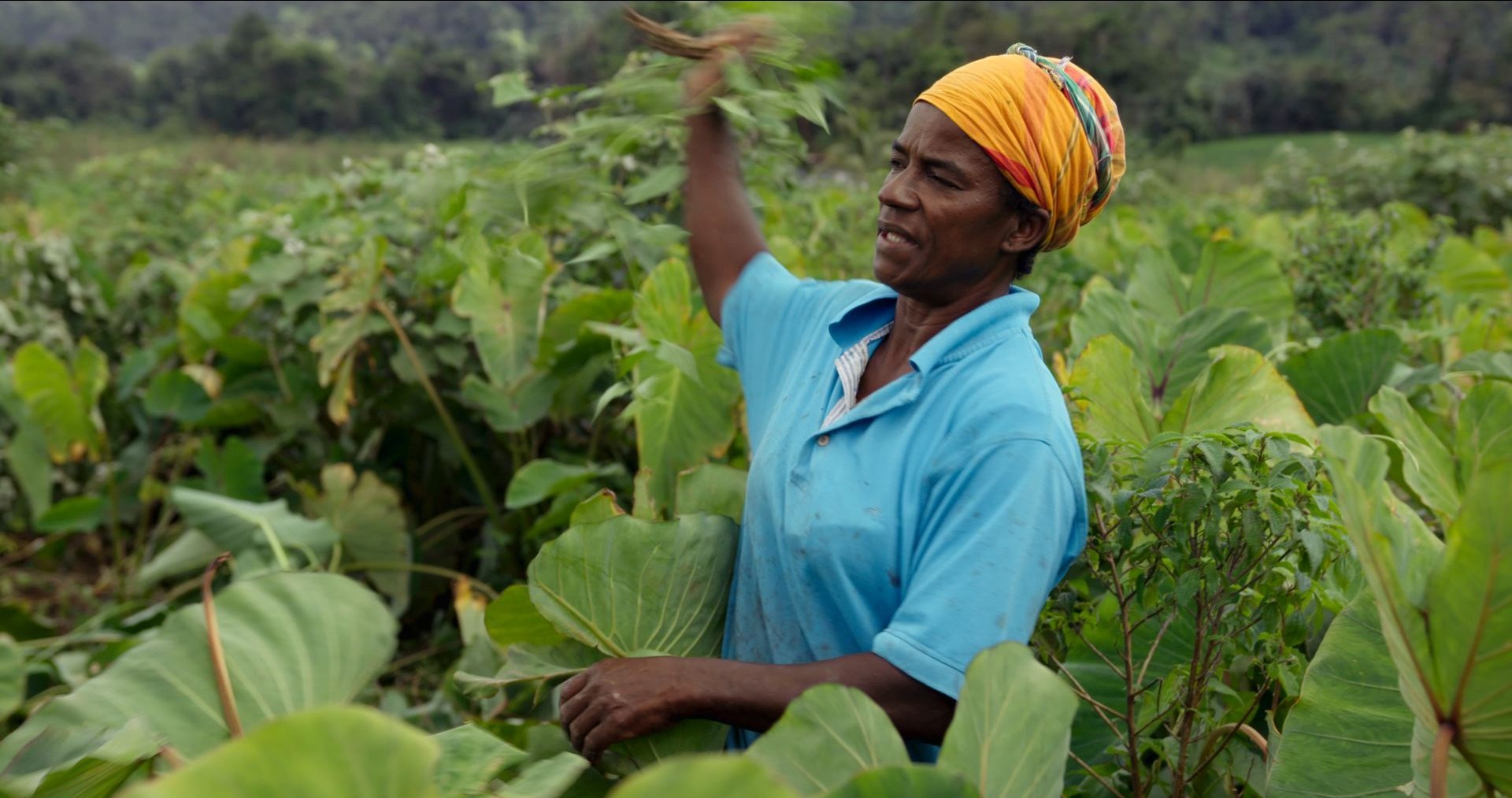 Affiche du film Felwine Sarr, école du soir, une vie commune