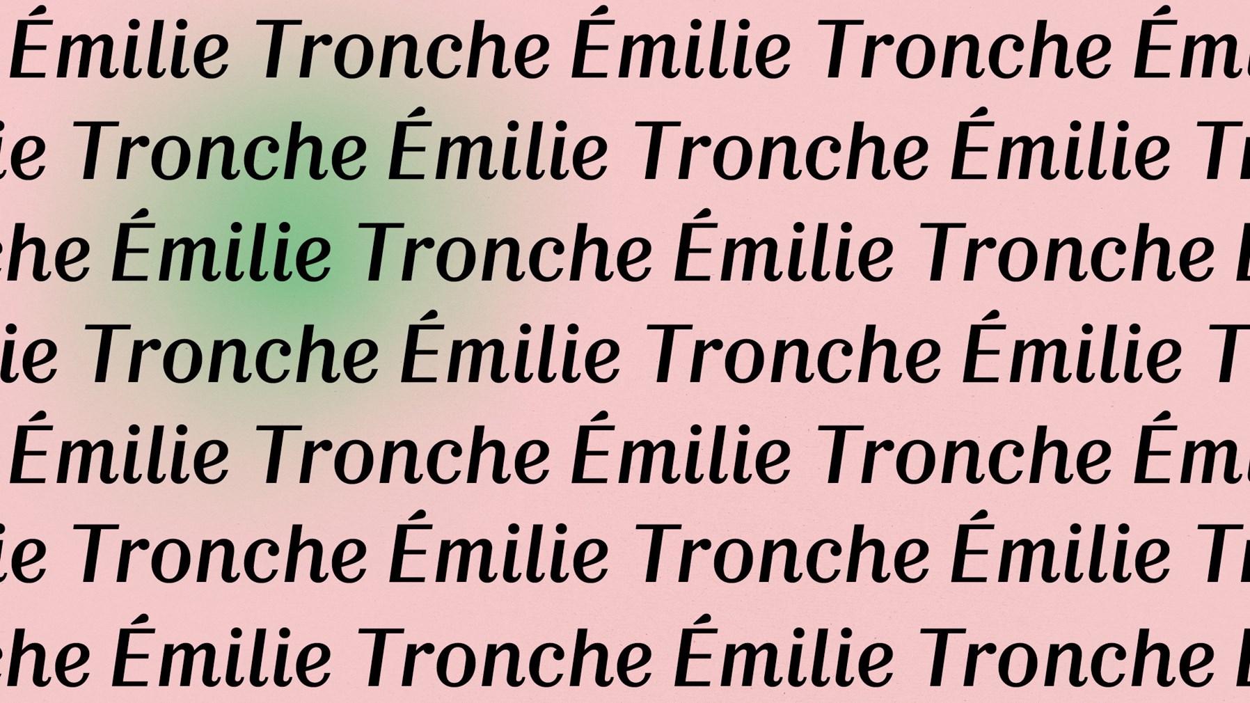 Affiche du film Rencontre avec Émilie Tronche 