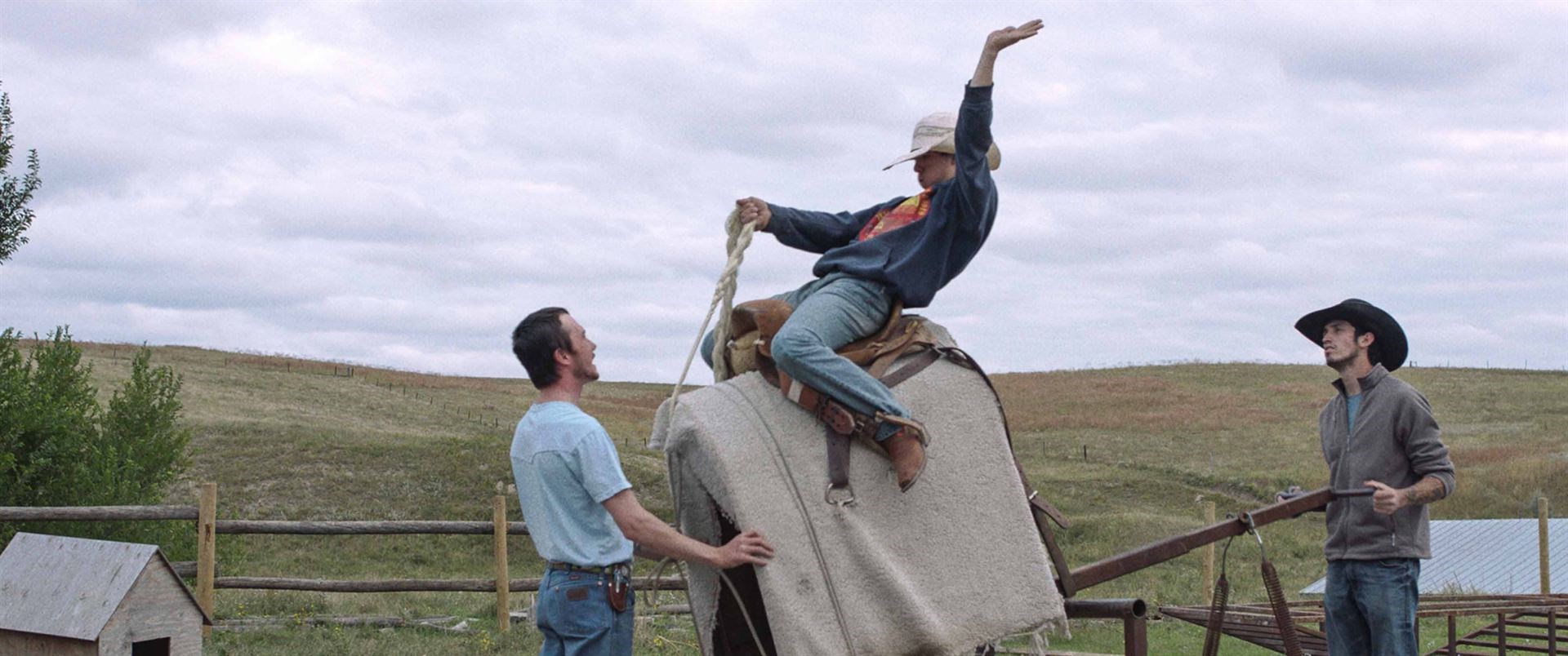 Affiche du film The rider: Se lier à d’autres espèces que la nôtre