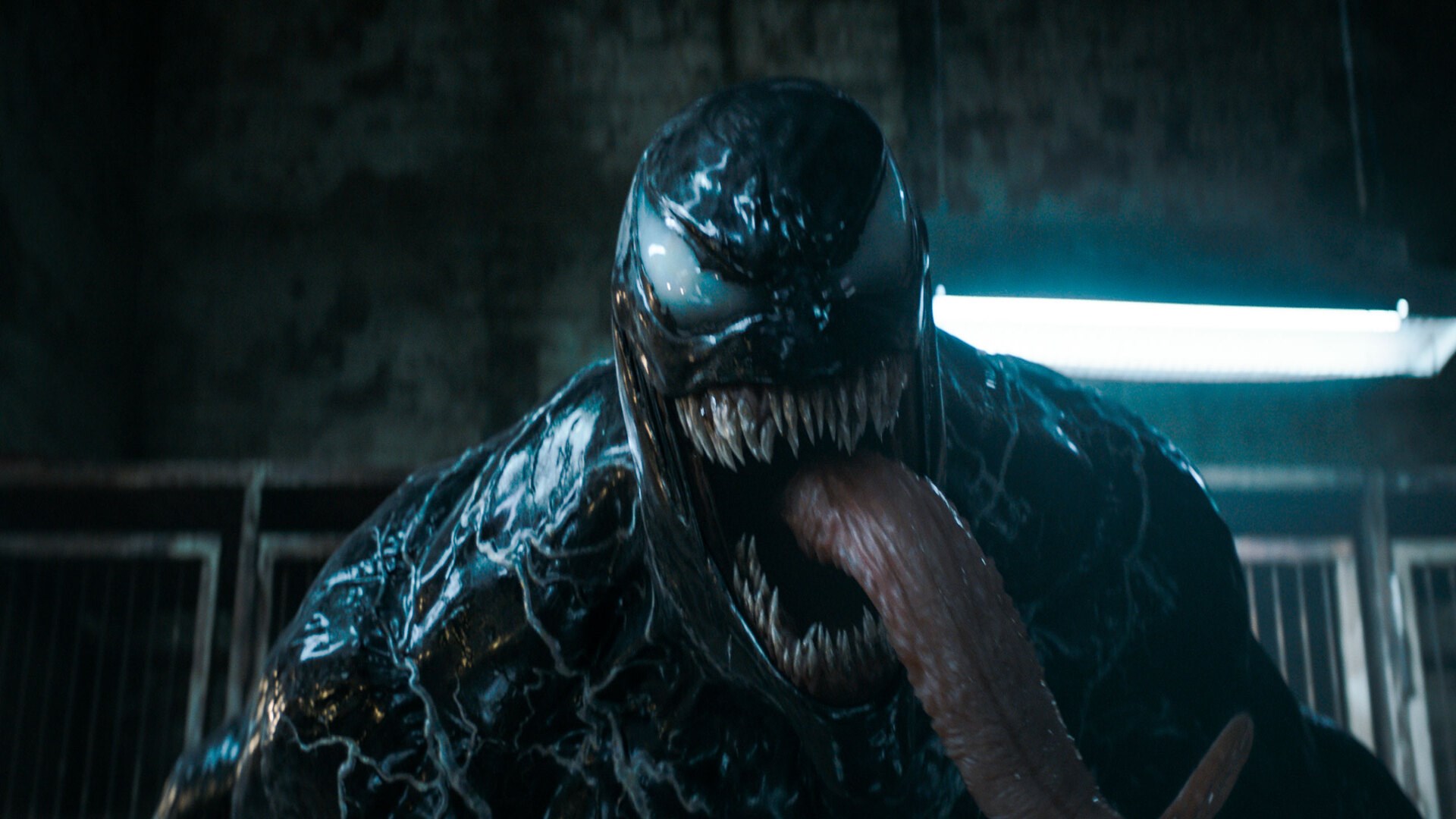 Affiche du film Venom: The Last Dance