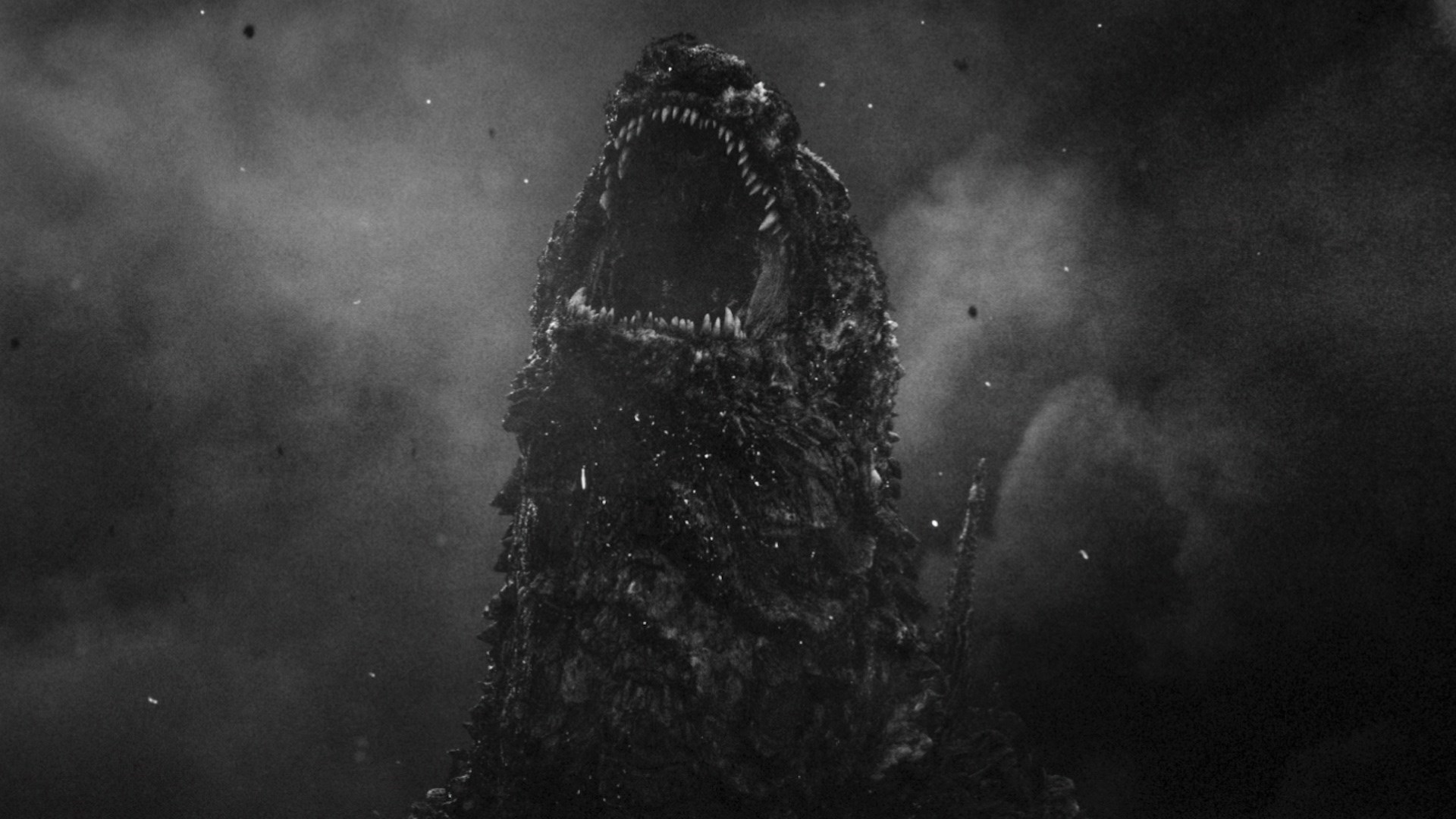 Affiche du film Godzilla Minus One / Minus Color