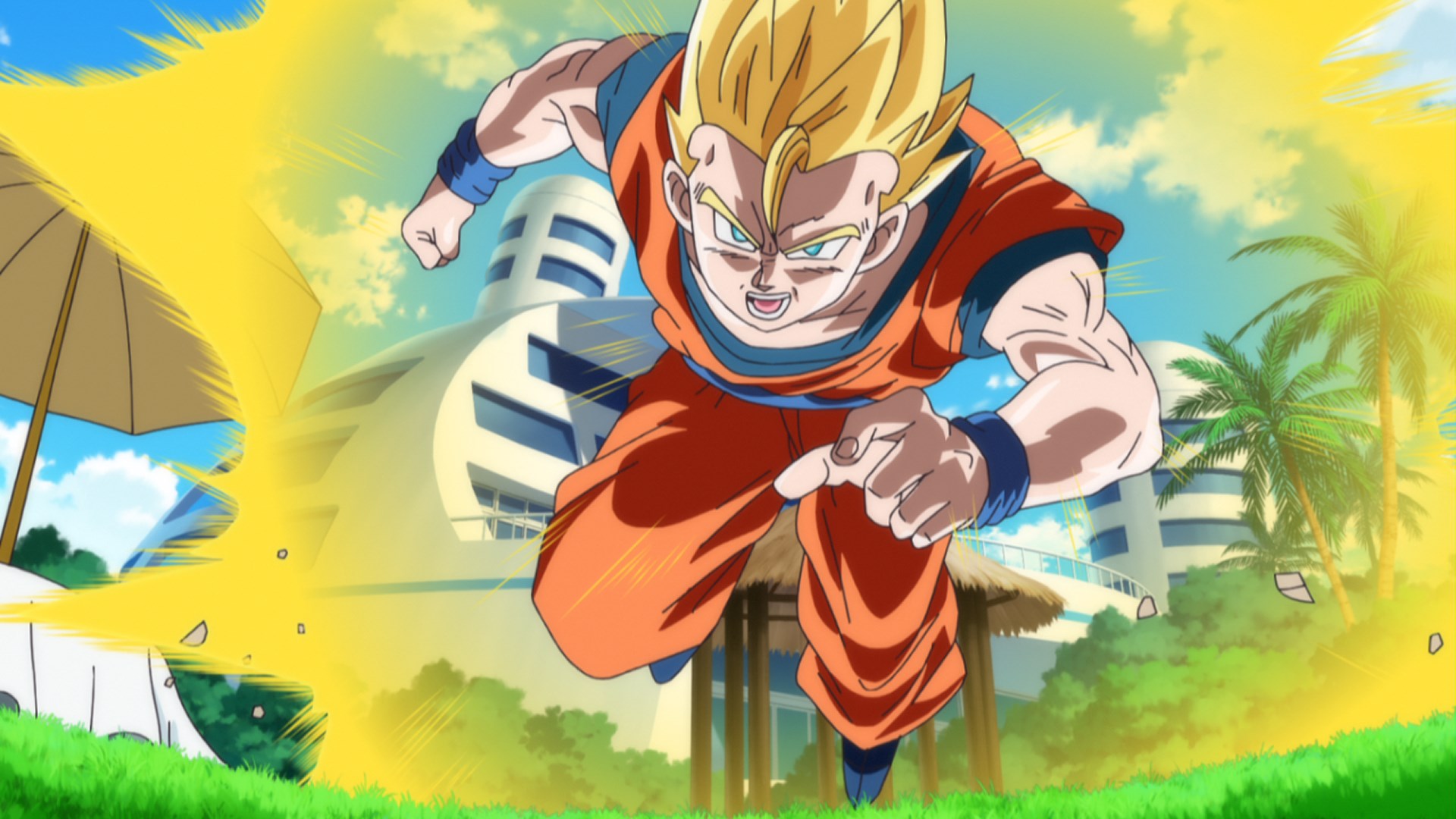 Affiche du film Dragon Ball Z : Battle of Gods (Extended Cut)