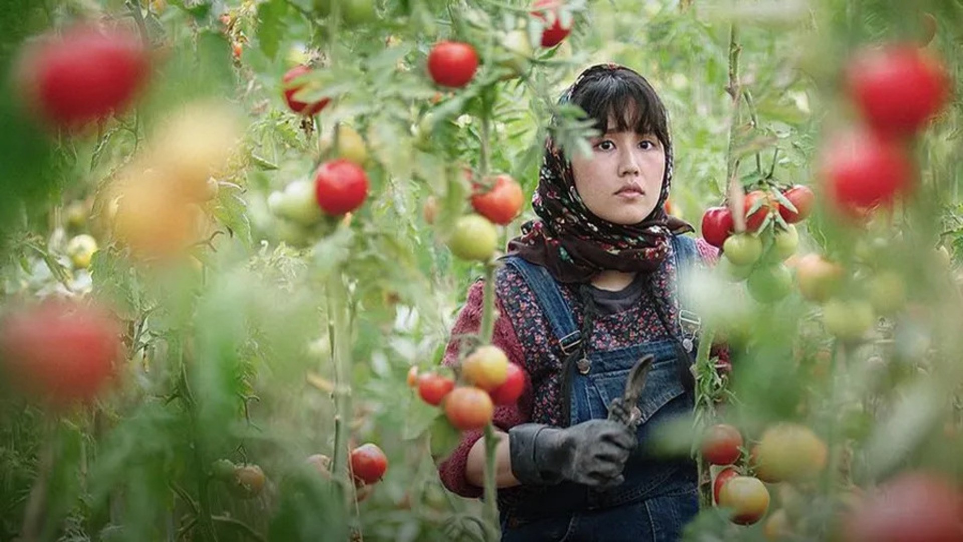 Affiche du film Au pays de nos frères