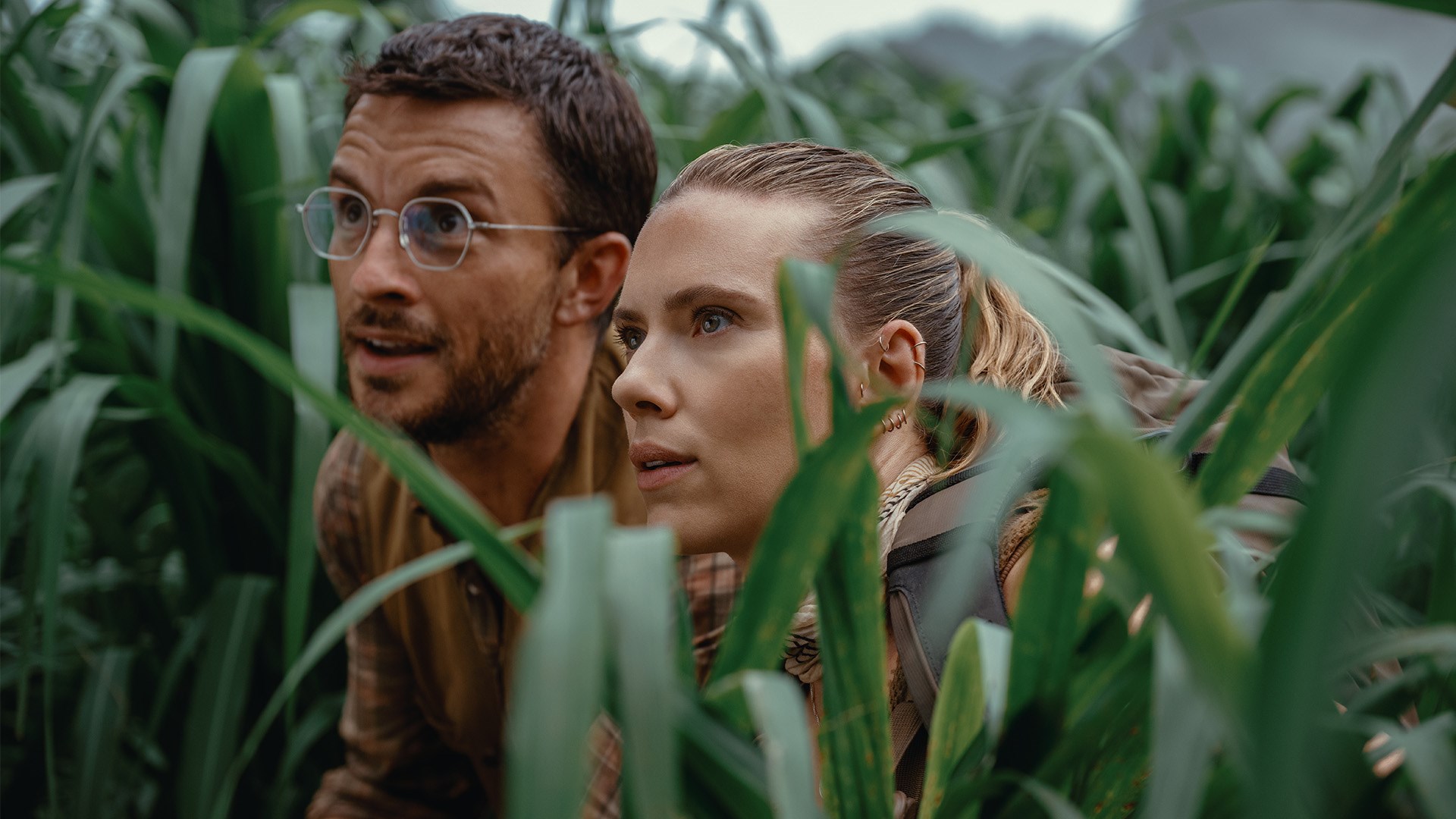 Affiche du film Jurassic World : Renaissance
