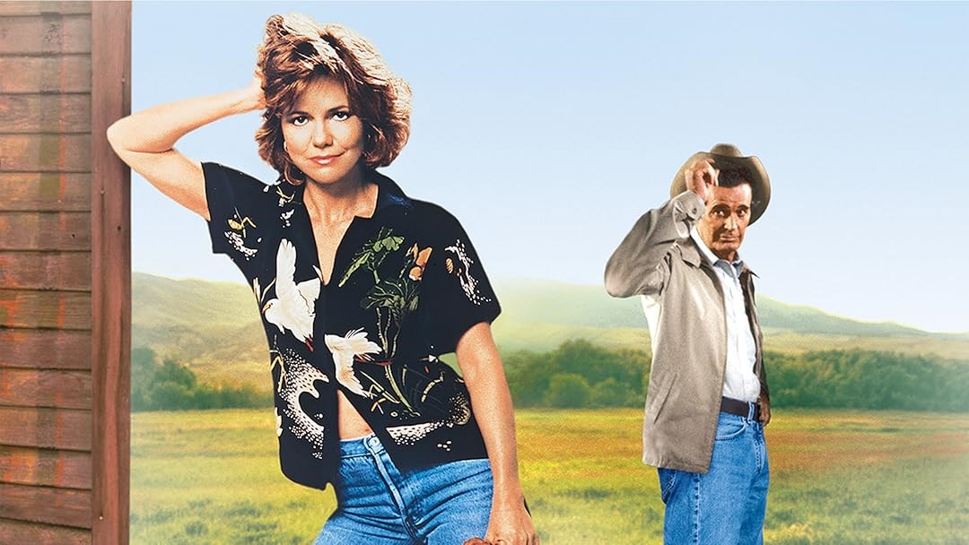 Affiche du film Murphy's Romance