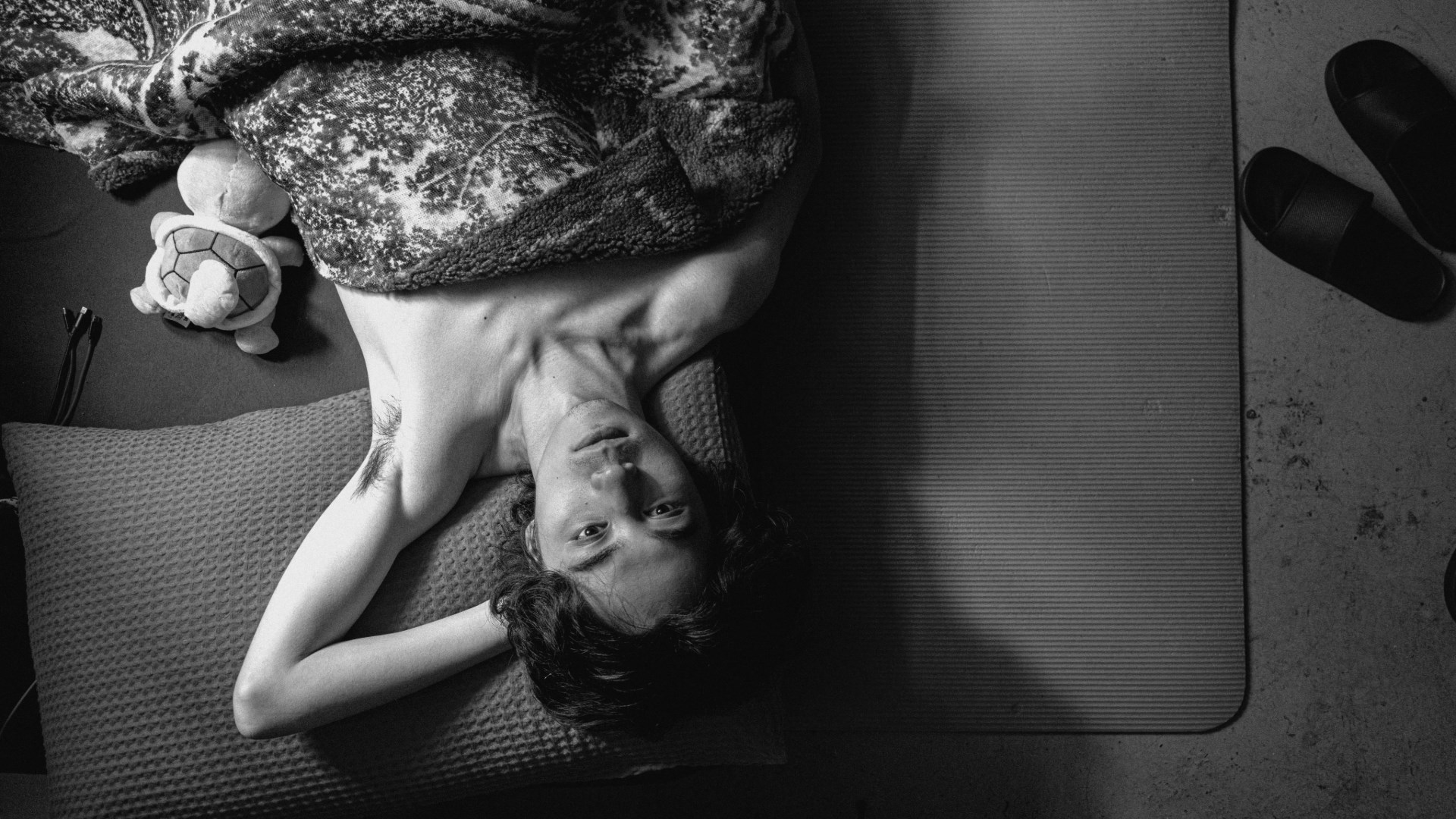 Affiche du film Queerpanorama