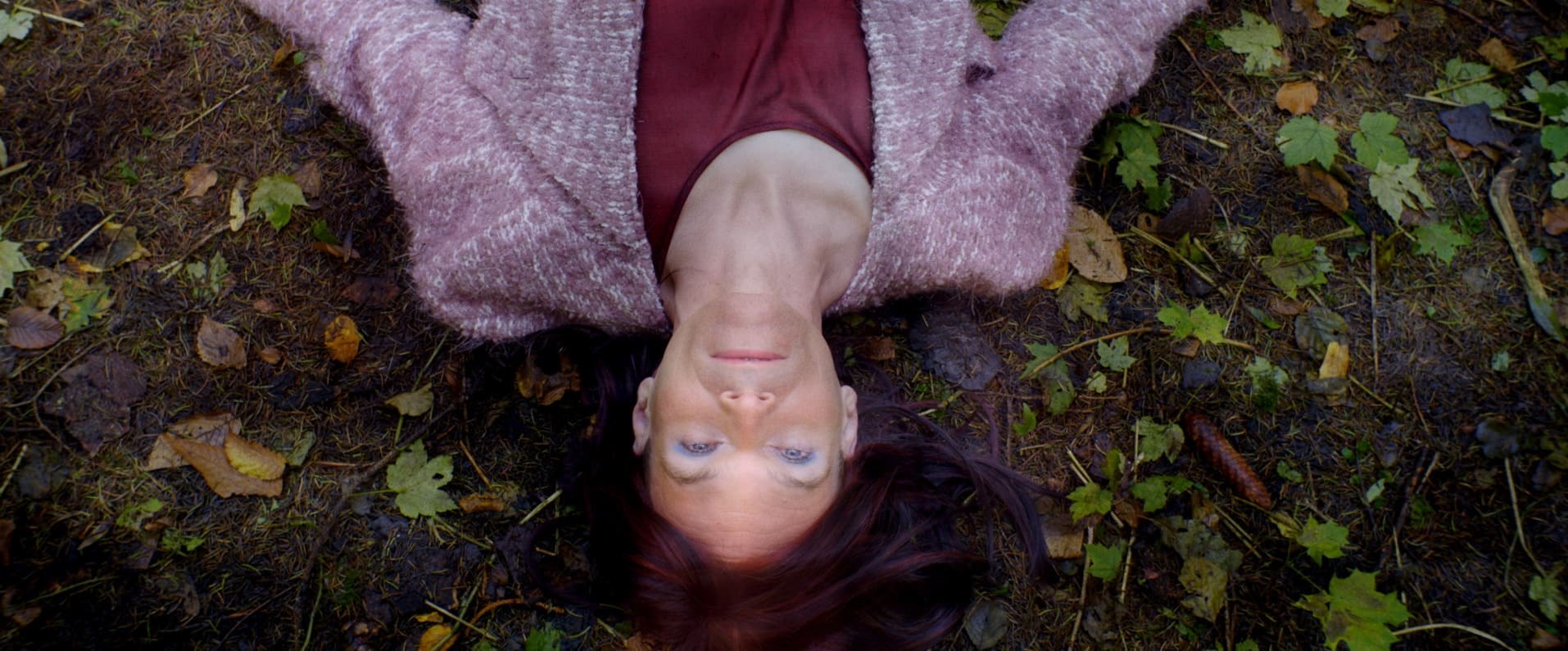 Affiche du film Janine s'installe à la campagne