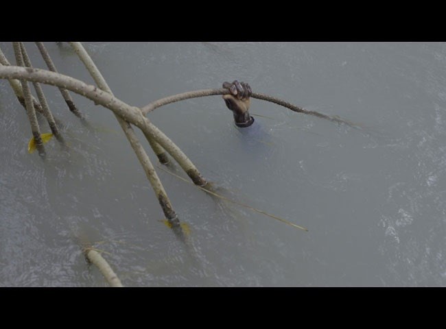 Affiche du film L comme Lianes : Dénètem Touam Bona