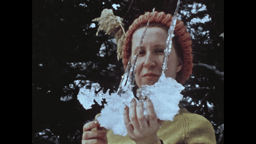 Affiche du film Un bonheur hydroélectrique