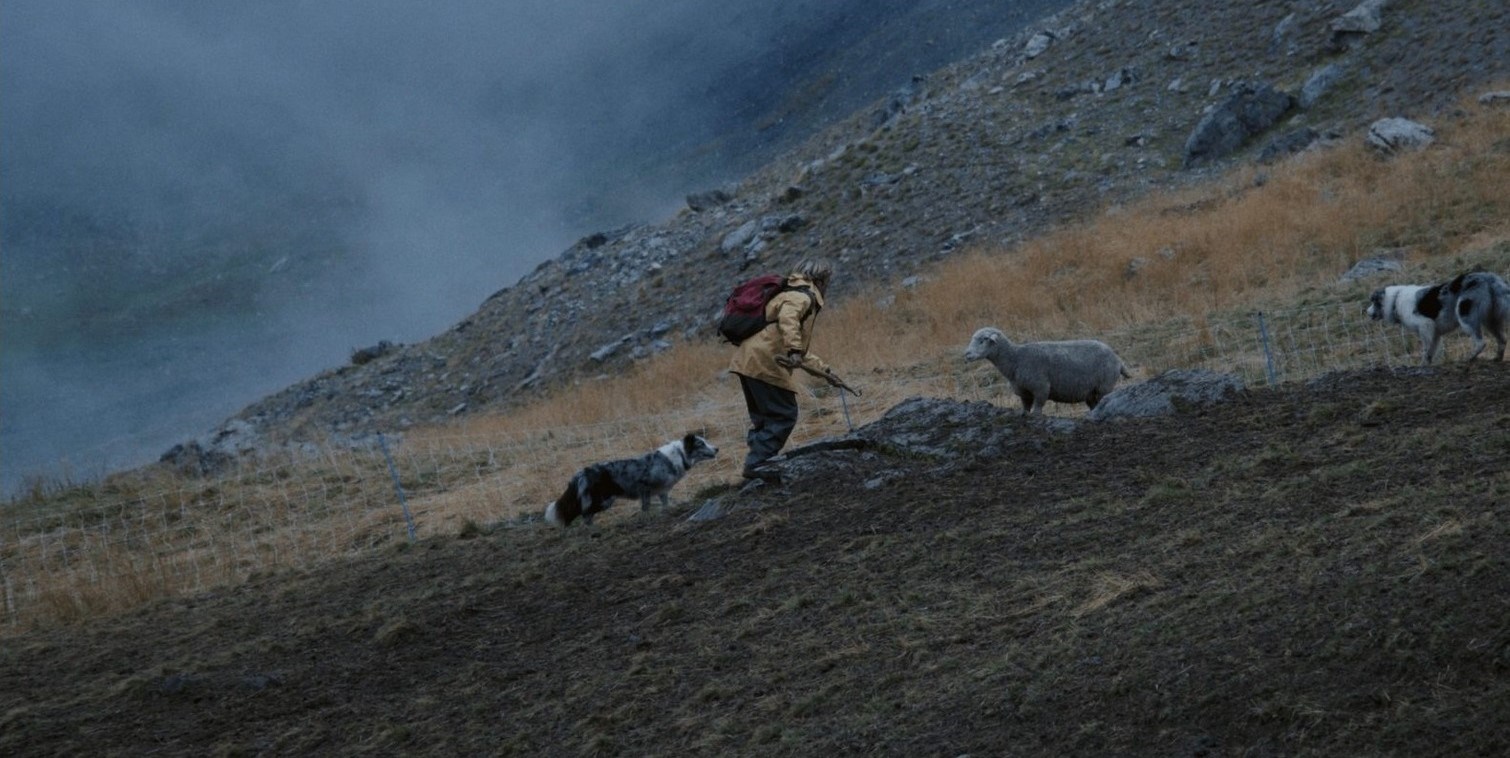Affiche du film Un pasteur