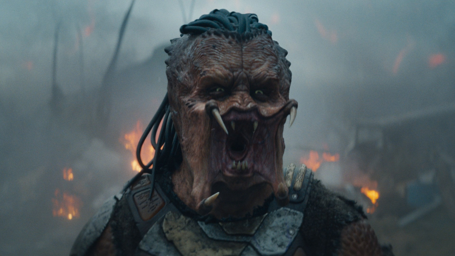 Affiche du film Predator : Badlands