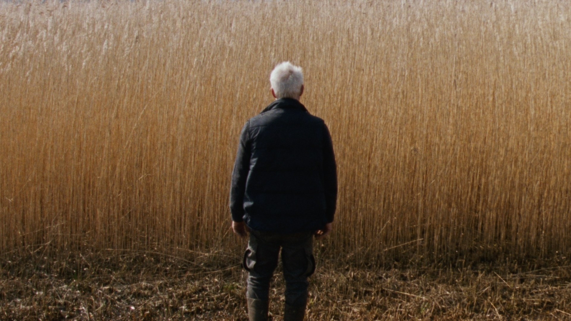 Affiche du film Reedland