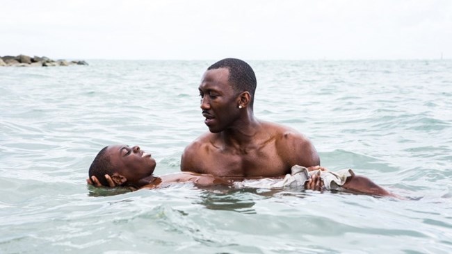 Affiche de l'événement Moonlight