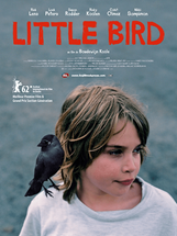Affiche du film Little Bird
