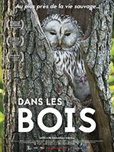 Affiche du film Dans les bois