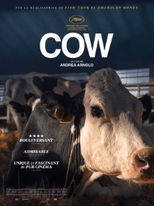 Affiche du film Cow
