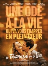 Affiche du film Le Tourbillon de la vie