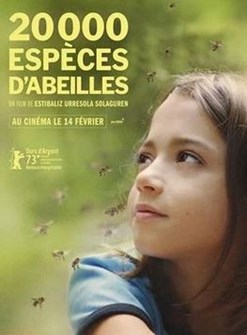 Affiche du film 20 000 espèces d'abeilles