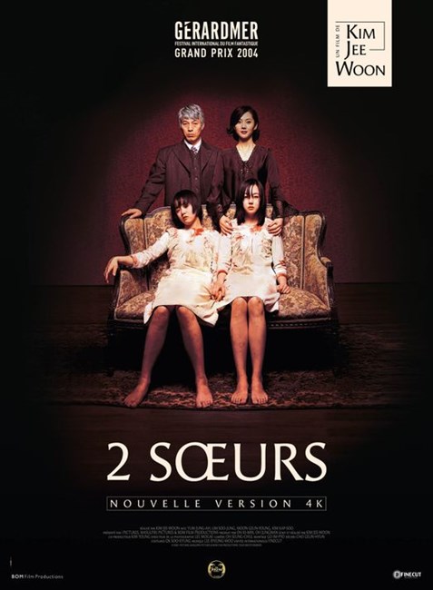 Affiche du film 2 soeurs