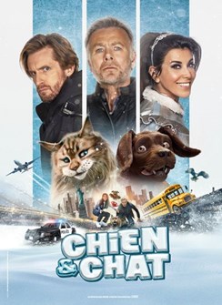 Affiche du film Chien et chat