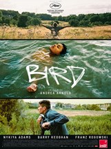 Affiche du film Bird