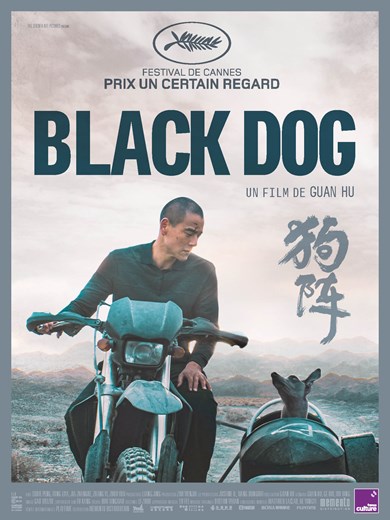 Affiche du film Black Dog