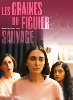 Affiche du film Les Graines du figuier sauvage