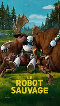 Affiche du film Le Robot Sauvage