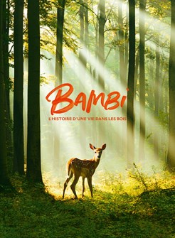 Affiche du film Bambi, L’histoire d’une vie dans les bois