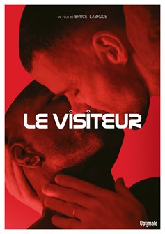 Affiche du film Le visiteur