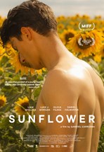 Affiche du film Dans les tournesols