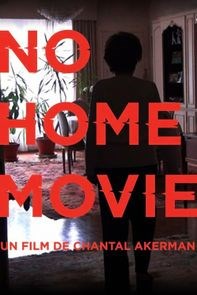 Affiche du film No Home Movie