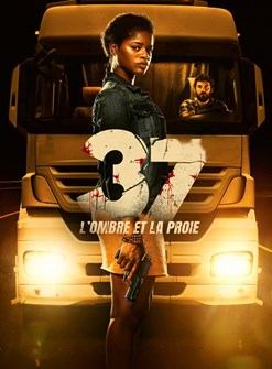 Affiche du film 37 : l'ombre et la proie