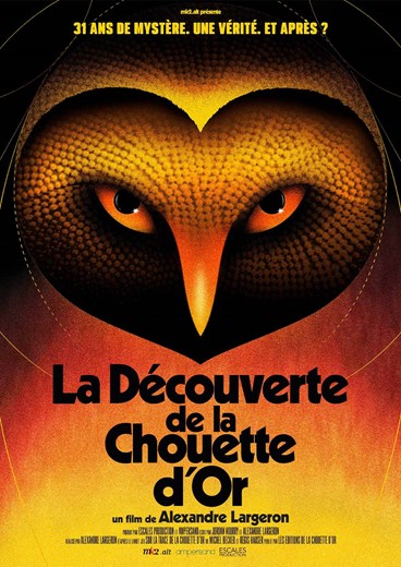 Affiche du film La découverte de la chouette d'or