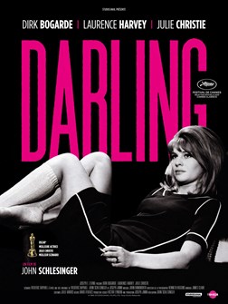 Affiche du film Darling chérie