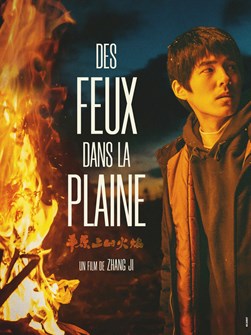 Affiche du film Des Feux dans la Plaine