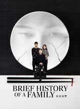 Affiche du film Brief History of a Family