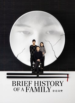 Affiche du film Brief History of a Family
