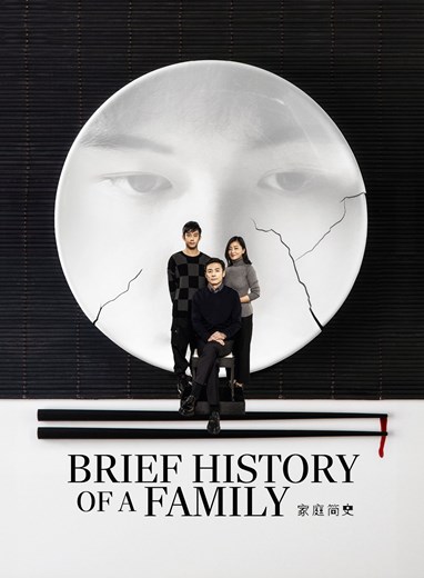 Affiche du film Brief History of a Family
