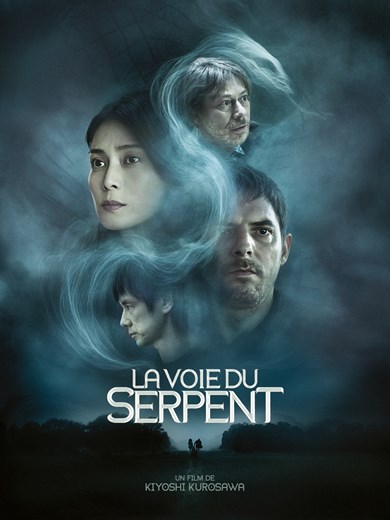 Affiche du film La Voie du serpent