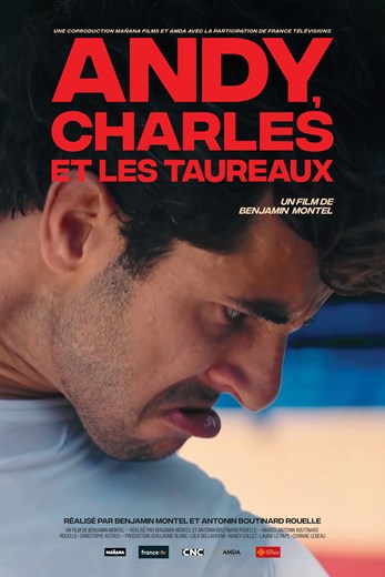 Affiche du film Andy, Charles et les Taureaux