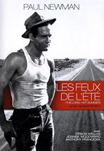 Affiche du film Les feux de l'été