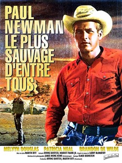 Affiche du film Le Plus sauvage d'entre tous